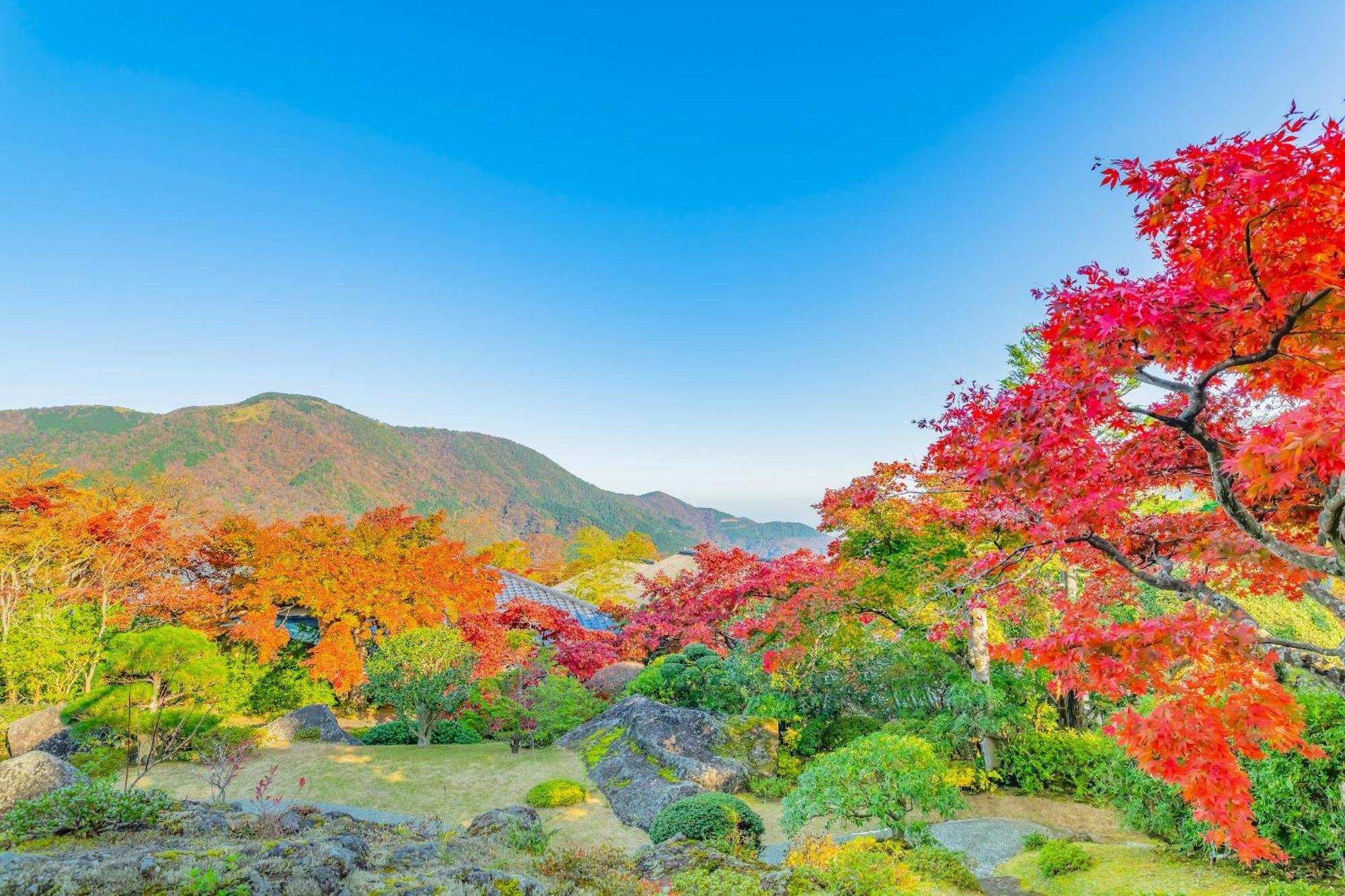 Hotel Oku Yugawara Sansuirou Exteriér fotografie