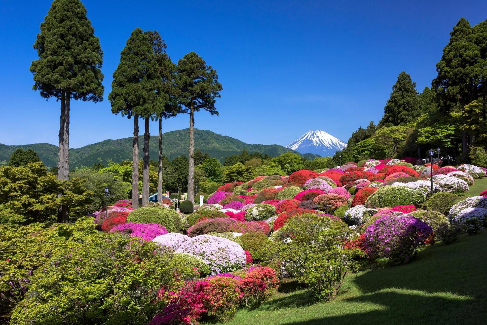 Hotel Oku Yugawara Sansuirou Exteriér fotografie